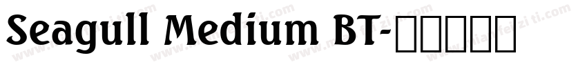 Seagull Medium BT字体转换